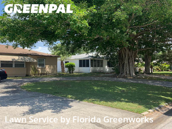 Lawn Mow nearby Saint Petersburg, FL, 