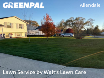 Backyard Mowing in Allendale, 49401, Lawn Management by Walt’s Lawn Care, work completed in Oct , 2025