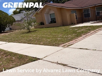 Lawn Maintenancein Winter Springs,32708,Lawn Cut by Alvarez Lawn Company, work completed in Jun , 2026