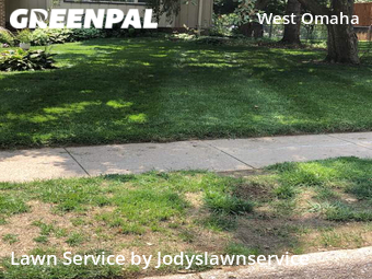Lawn Cut nearby Omaha, NE, 