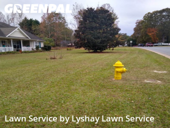 Lawn Mowing nearby Monroe, SC, 