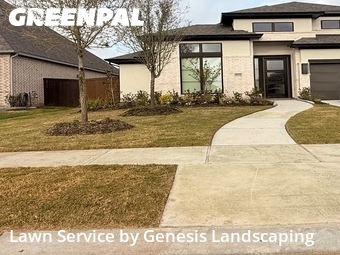 Grass Cut nearby Manvel, TX, 