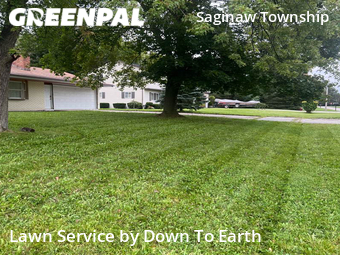 Grass Cutting nearby Saginaw, MI, 