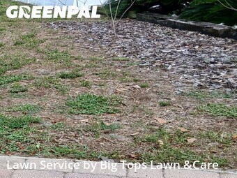 Lawn Cut nearby Longwood, FL, 