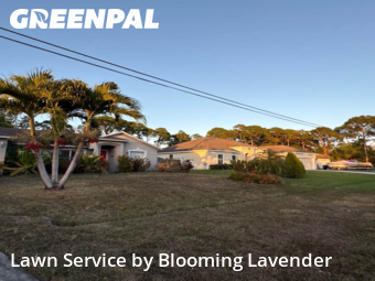 Lawn Mowing Service in Port St. Lucie, 34953, Lawn Mow by Blooming Lavender, work completed in 10 Jan, 2026 
