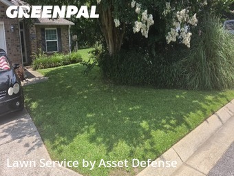 Grass Cut nearby Pace, FL, 