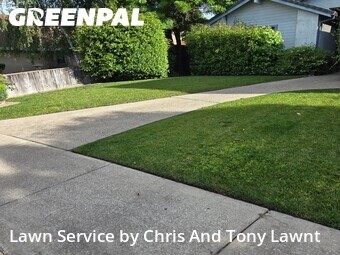 Grass Cutting nearby Lodi, CA, 