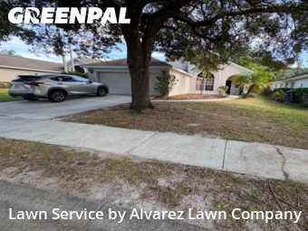 Lawn Carein Ocoee,34761,Grass Cut by Alvarez Lawn Company, work completed in Dec , 2025