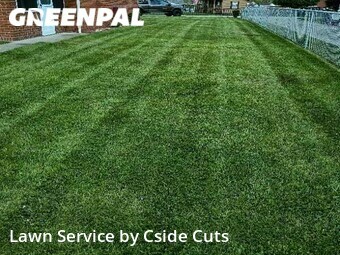 Grass Cutting nearby Mc Keesport, PA, 