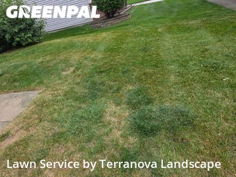 Front Yard Mowing in Woodridge, 60517, Lawn Cutting by Terranova Landscape, work completed in Nov , 2025