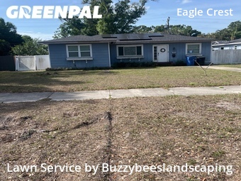 Grass Cutting nearby Saint Petersburg, FL, 