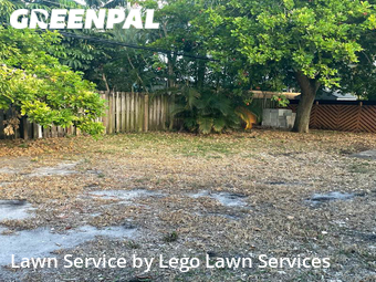 Grass Cut nearby Fort Lauderdale, FL, 