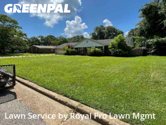 Grass Cut nearby Olive Branch, MS, 
