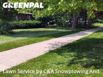 Yard Cutting nearby Wheeling, IL, 