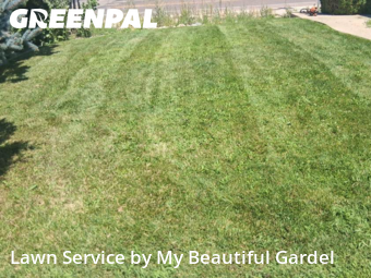 Lawn Cutting nearby Denver, CO, 