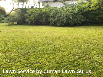 Lawn Cut nearby Belleville, IL, 