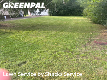 Grass Cutting nearby Warren, OH, 
