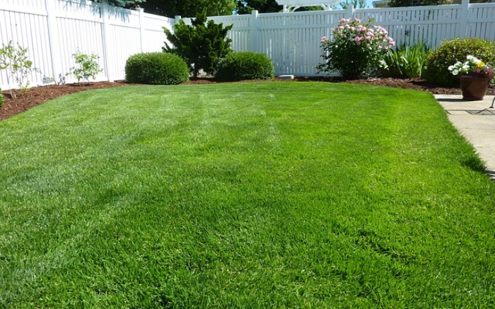 Work Image 1
