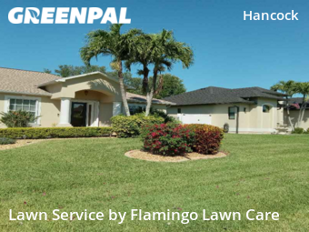 Grass Cutting nearby Cape Coral, FL, 