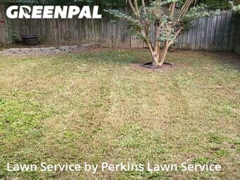 Lawn Maintenance nearby Pelham, AL, 