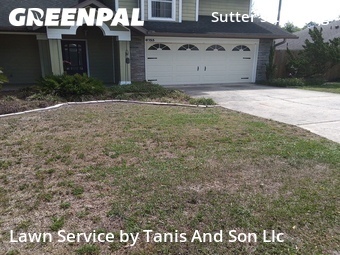 Grass Cut nearby Gainesville, FL, 