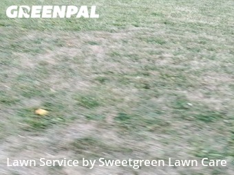 Lawn Cutting nearby Verona, PA, 