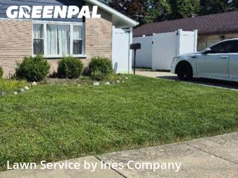 Mowing Services in Oak Forest, 60452, Lawn Care by Ines Company, work completed in Dec , 2025