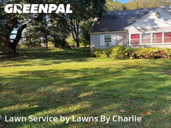 Grass Cut nearby Springfield, MI, 