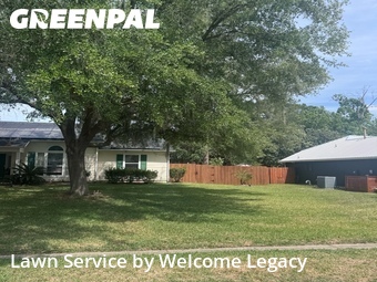 Lawn mowed in Alachua, 32615