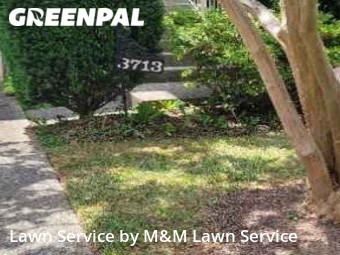 Grass Cutting nearby Alexandria, VA, 