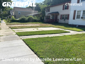 Lawn Cut nearby Newport News, VA, 
