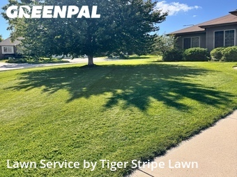 Landscaping Installation Omaha,68136,Landscaping Installation by Tiger Stripe Lawn, work completed in Jul , 2026