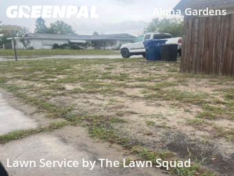 Lawn Care nearby Holiday, FL, 