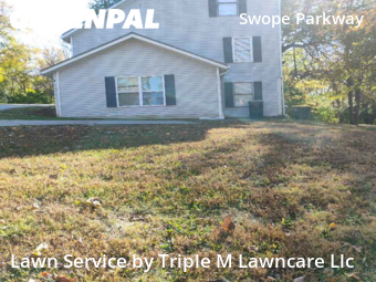 Lawn Care Servicein Kansas City,64130,Yard Mowing by Triple M Lawncare Llc, work completed in Nov , 2025