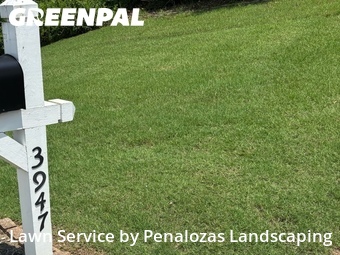 Lawn Cutting nearby Suwanee, GA, 