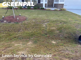 Lawn Care nearby Four Oaks, NC, 