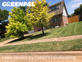 Grass Cutting nearby Moore, OK, 