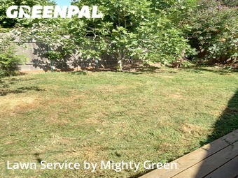 Grass Cutting nearby Portland, OR, 