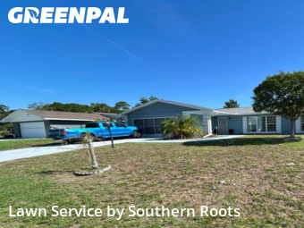 Grass Cutting nearby Palm Coast, FL, 