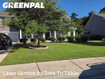 Lawn Cut nearby Charleston, SC, 