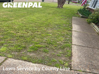 Yard Mowing nearby Memphis, TN, 