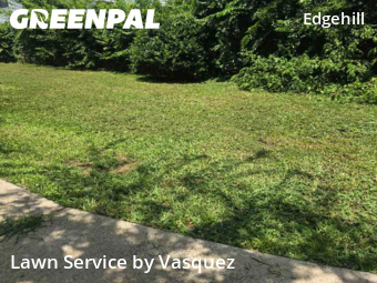 Lawn Mow nearby Nashville, TN, 