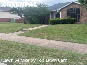 Lawn Care nearby Dallas, TX, 