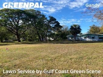 Lawn Mowing Service nearby St. Petersburg, FL, 