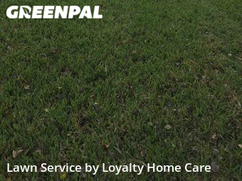 Lawn Mow nearby Jensen Beach, FL, 