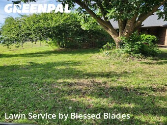 Yard Cutting nearby Springfield, MO, 