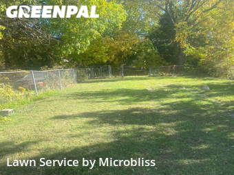 Lawn Cutting nearby Toledo, OH, 