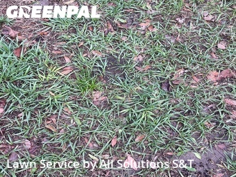 Lawn Care Service nearby Poinciana, FL, 
