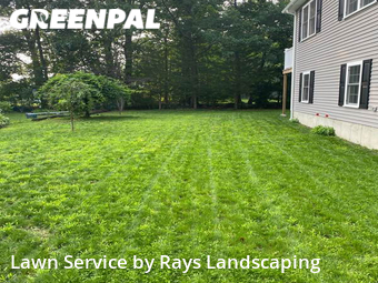 Lawn Mow nearby Saugus, MA, 