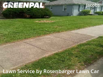 Lawn Maintenance nearby Louisville, KY, 